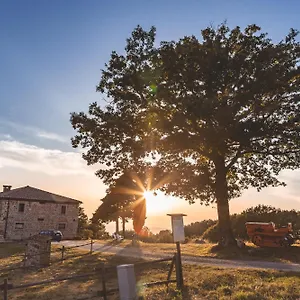 Appartamento Masseria Del Bosco - Podere Palazzone